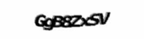 Security check image, please type the characters shown