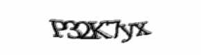 Security check image, please type the characters shown