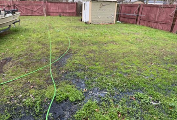 Damp yard with a hose