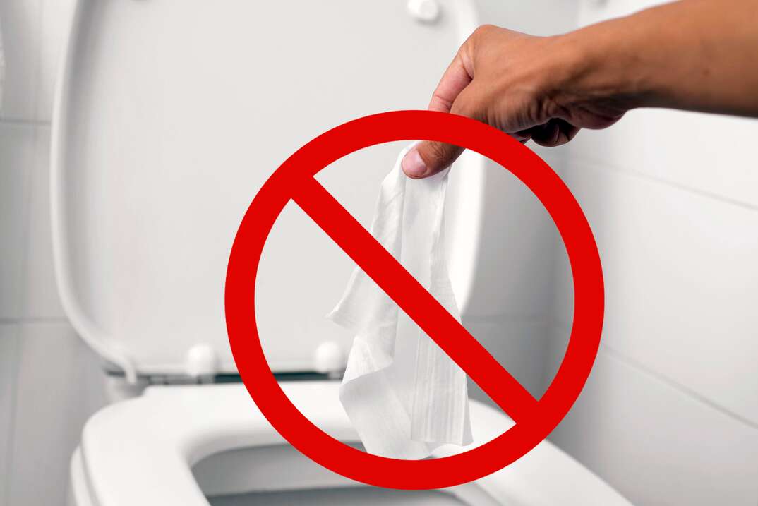 6 Common Reasons Why Your Toilet Won't Flush