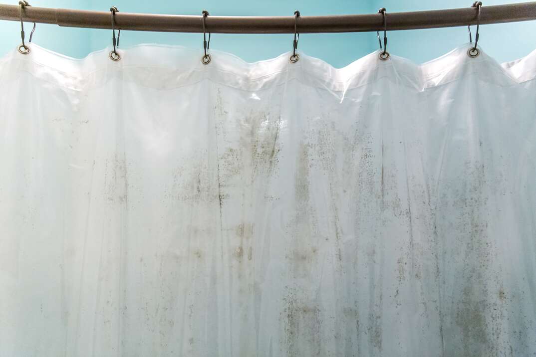 Dark mold streaks on an interior plastic shower curtain in a light aqua bathroom