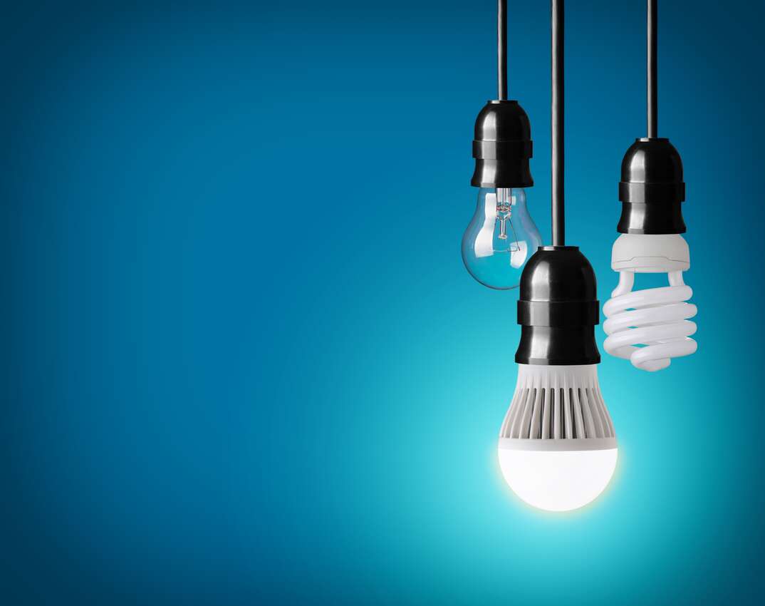 Types of Light Bulbs  Everything You Need To Know!