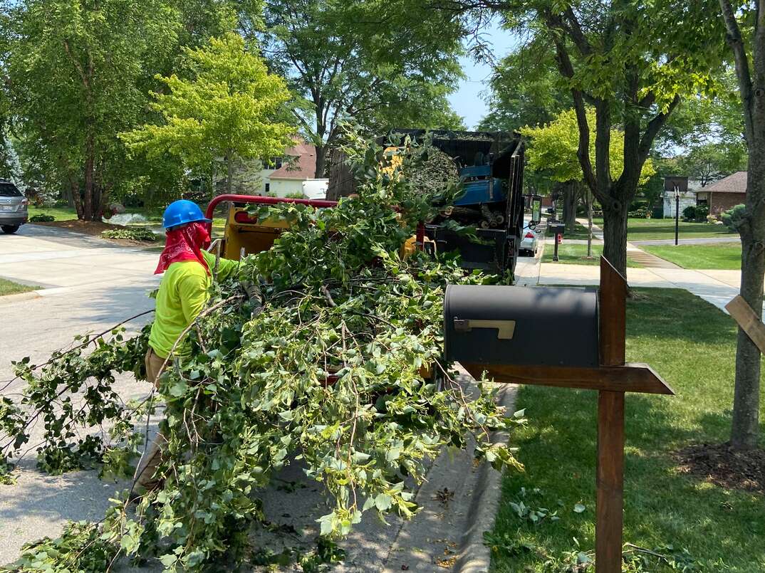 Man uses diesel-powered wood chipper to shred up recently pruned tree branches 