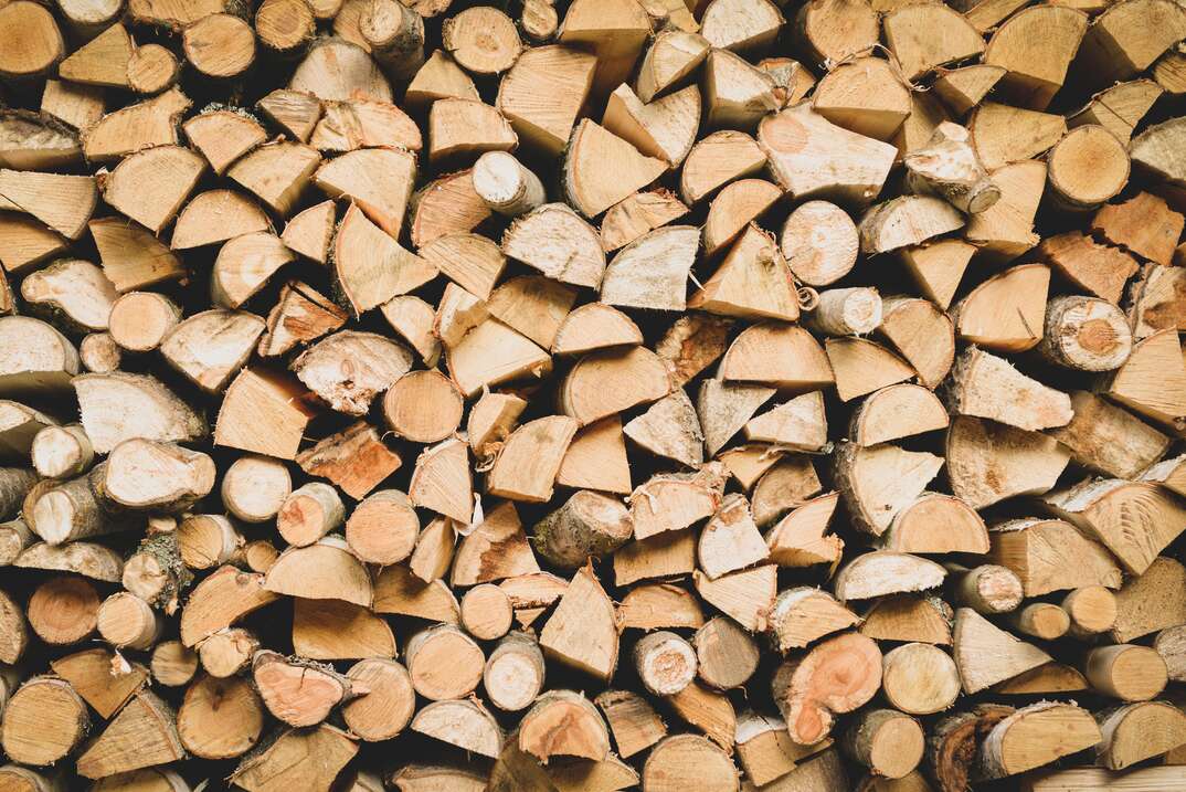 birch firewood background