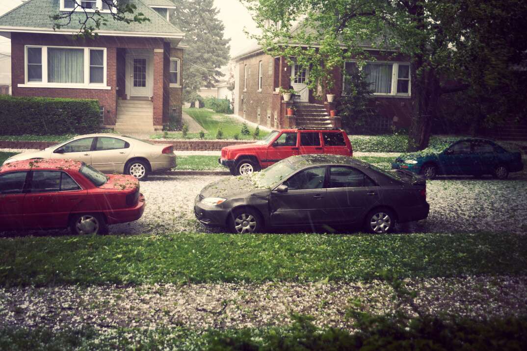 Flowers and leaves littering the sidewalk and cars outside