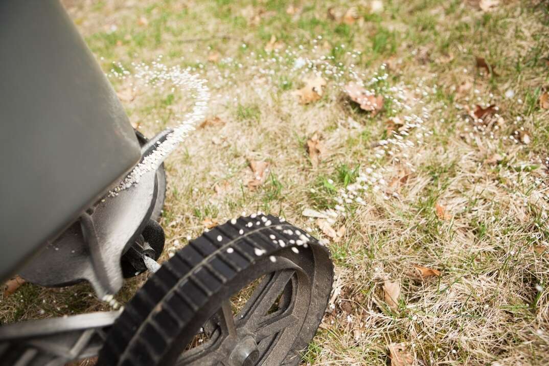 "A walk-behind broadcast spreader is applying fertilizer to grass. Focus is on the lower wheel area, the grass is slightly soft. With the brown grass and dried leaves, this would make a good pre-emergent weed prevention or fall winterizer concepts."