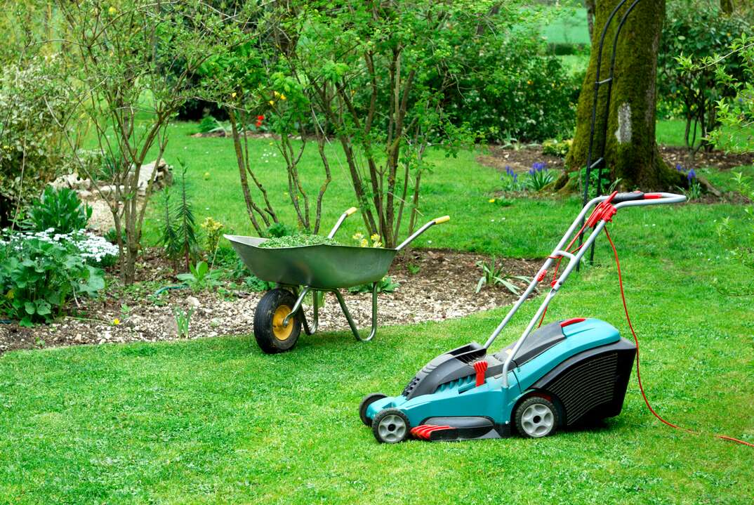 A green colored electric lawnmower with an electrical cord attached to it is stopped on a well maintained green lawn in front of a green wheelbarrow and landscaped trees and shrubbery