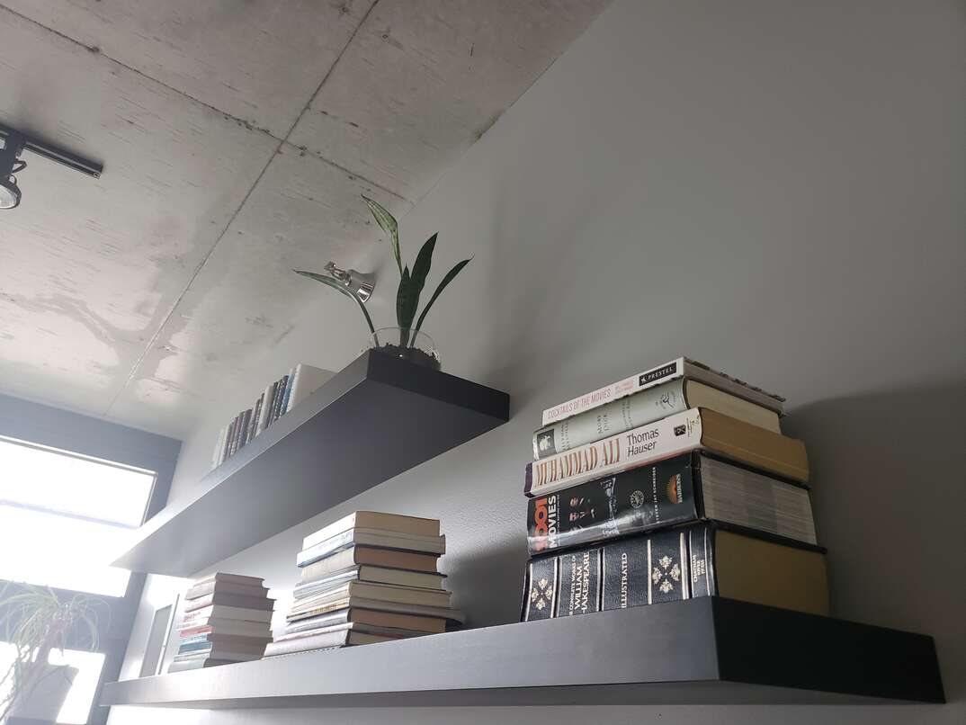 mounted shelves with books and plants