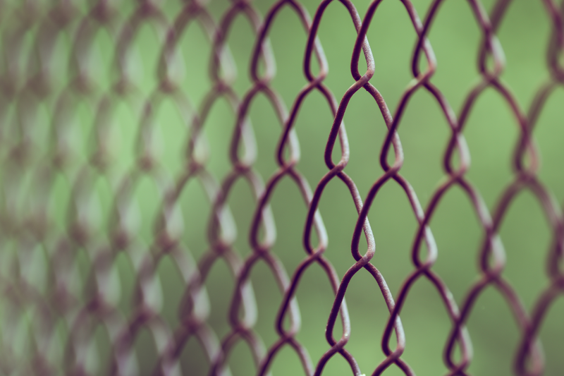 A chain link fence with rust on it is shown up close against a blurred green backdrop, chain link fence, chain link, chain, link, fence, steel, stainless steel, metal, rust, fencing, greenery, blurred, green background, green