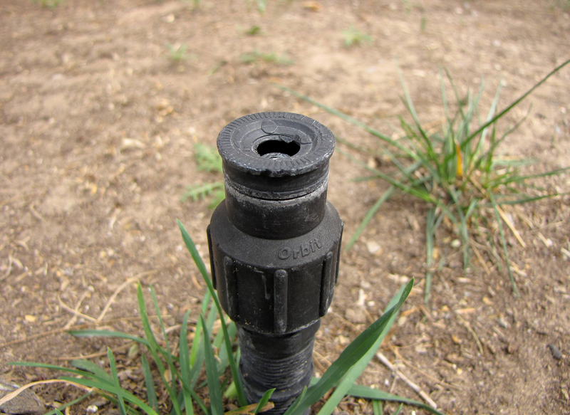 An Orbit brand lawn sprinkler head is shown in closeup coming out of the ground amid patches of green grass and dirt, sprinkler head, sprinkler, head, lawn, grass, lawn care, closeup, Orbit brand, Orbit