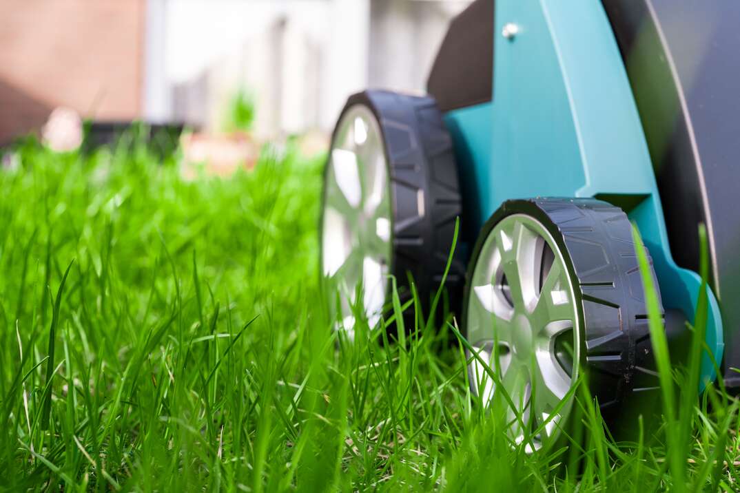 Scarifier on green grass  Work in the garden  scarifier