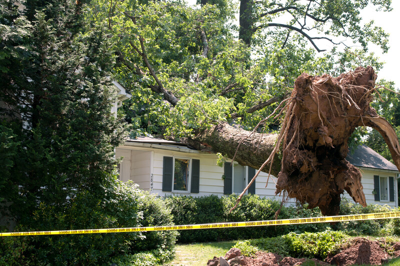 Broken snapped wooden power line post with electrical components on the ground after a storm