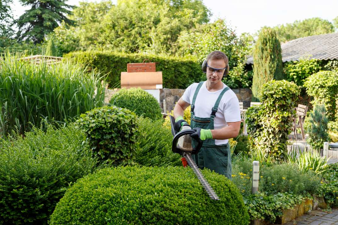 Gardener using a power tool to trim residential shrubs