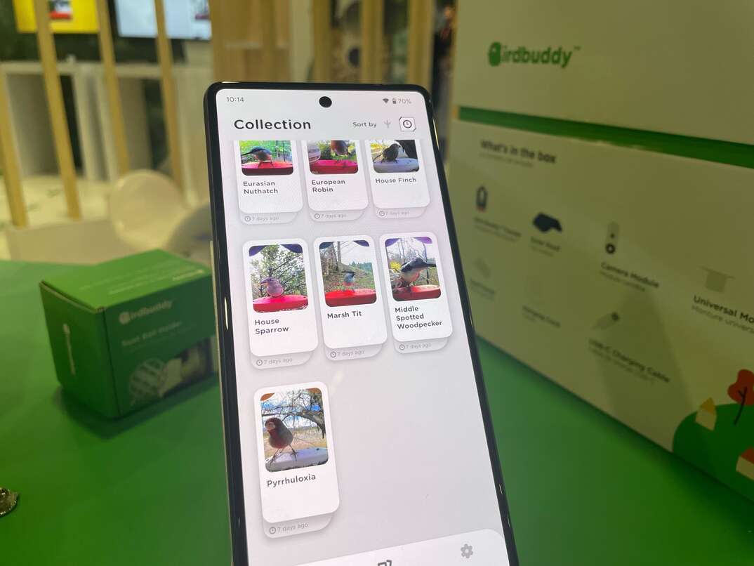 Bird Buddy app in use