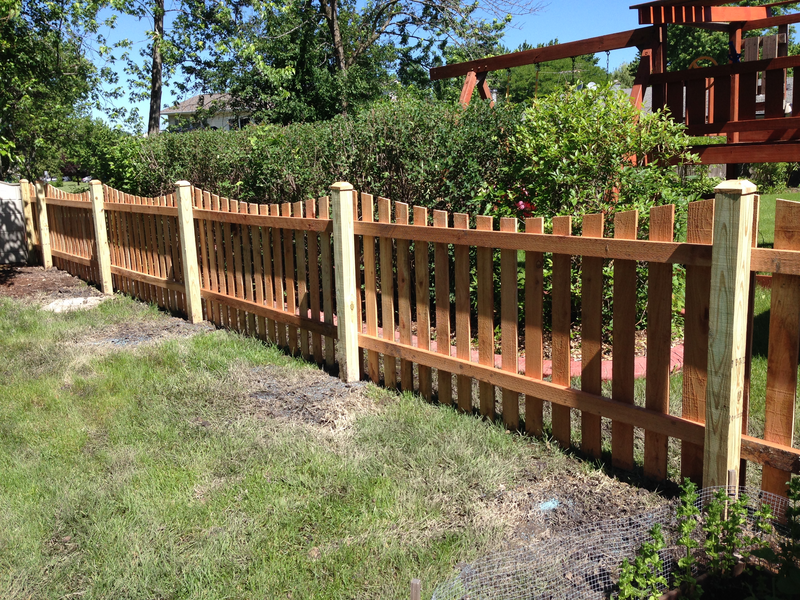 cedar fence with treated pine posts