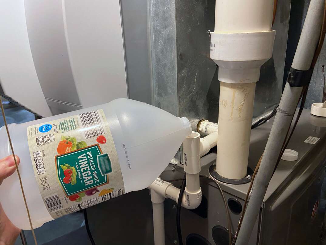 pouring white vinegar down a pvc pipe being used as a condensation drain for an air conditioner