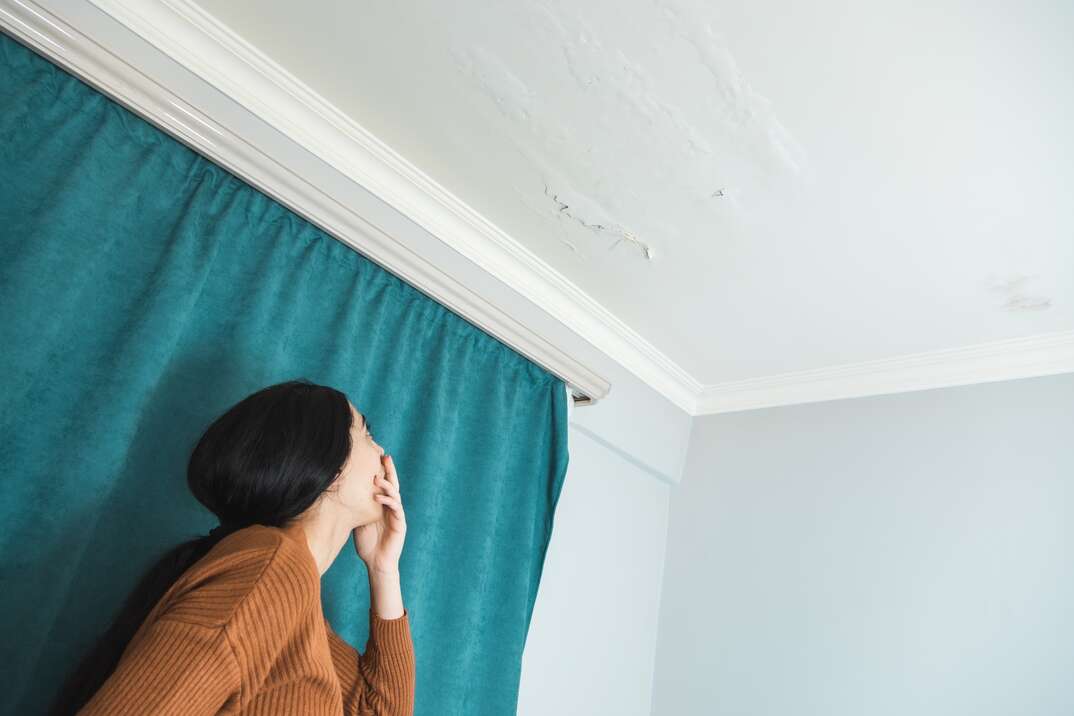 A woman in a brown sweater standing in front of a blue curtain against a white wall holds her hand over her mouth in shock as she looks up at damage to the ceiling, blue curtain, woman, brown sweater, ceiling, damage to ceiling, apartment, white wall, drywall, curtain, shocked, amazed, disbelief, distress