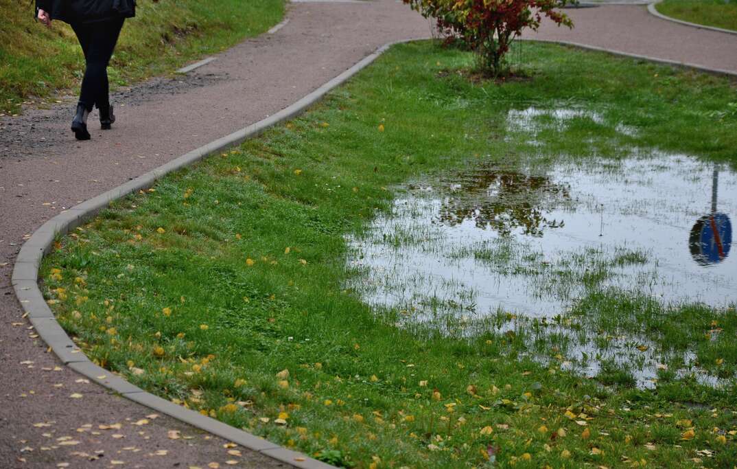 too compact and impermeable soil does not absorb water during rains and floods. a lake was created in the park in the lawn