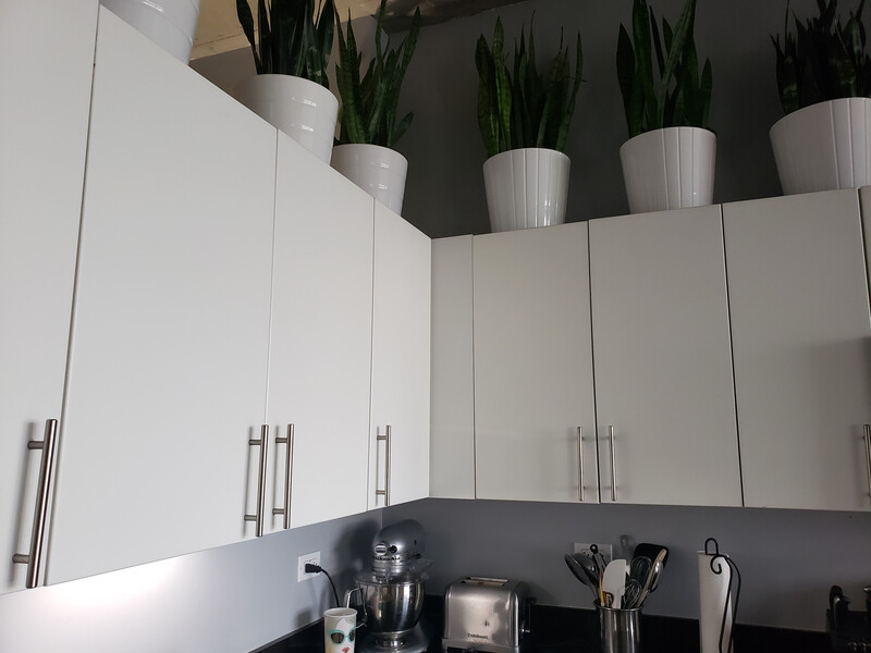 white kitchen cabinets