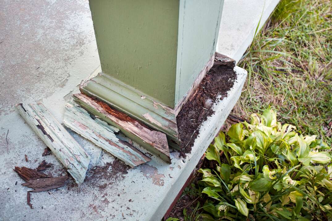 Termite damage to a green support column on a home