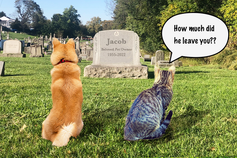 A dog and a cat sit on the grassy lawn of a cemetery in front of the headstone of their deceased owner as the cat asks how much the deceased owner left the dog in his will, cemetery, grave stone, grave site, headstone, tombstone, lawn, grass, green grass, trees, grave, buried, dead, death, deceased, pets, cat and dog, dog, cat, doggy, kitty, kitten, puppy, will, last will and testament, estate, estate planning