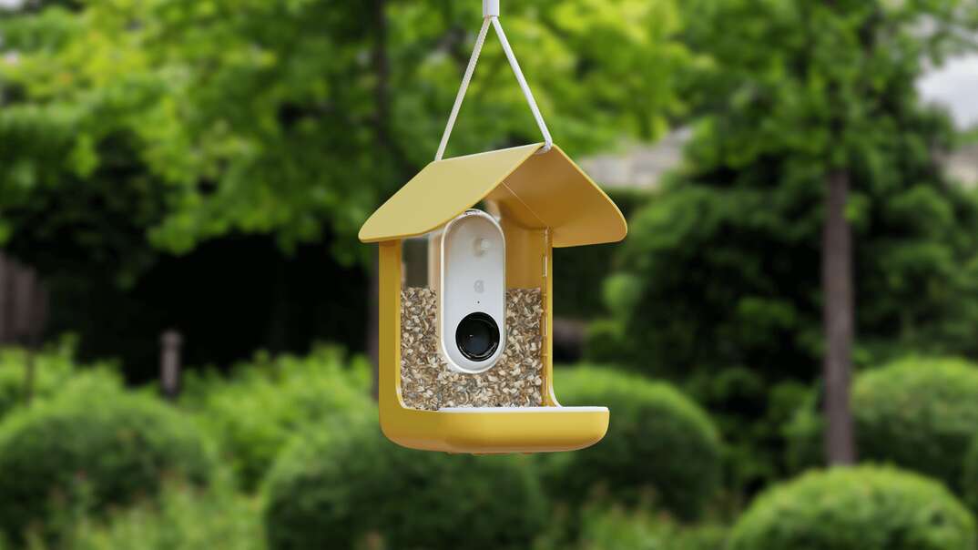 Bird Buddy smart bird feeder product image