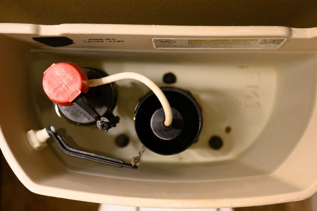 drain the toilet tank and cut water supply
