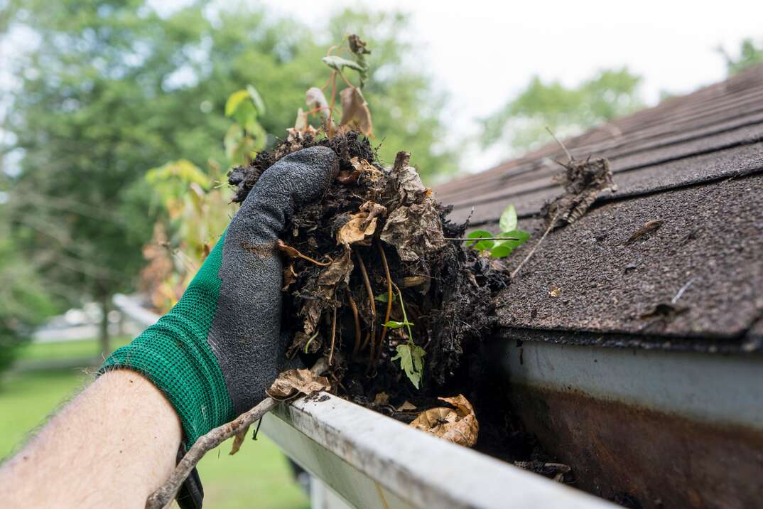 Gutter Cleaning Services Fishers IN