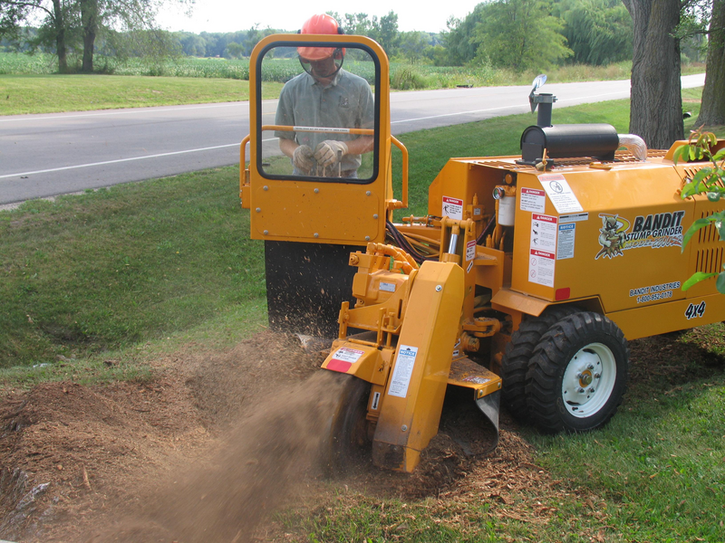 A worker uses a yellow stump grinder machine to grind up a tree trunk into wood chips and throw them onto the green grass of a lawn, green grass, grass, lawn, wood chipper, wood chips, stump grinder, stump, grinder, tree trunk, trunk, worker, yellow stump grinder machine, stump grinder machine, machine, landscape, landscaping, landscaper