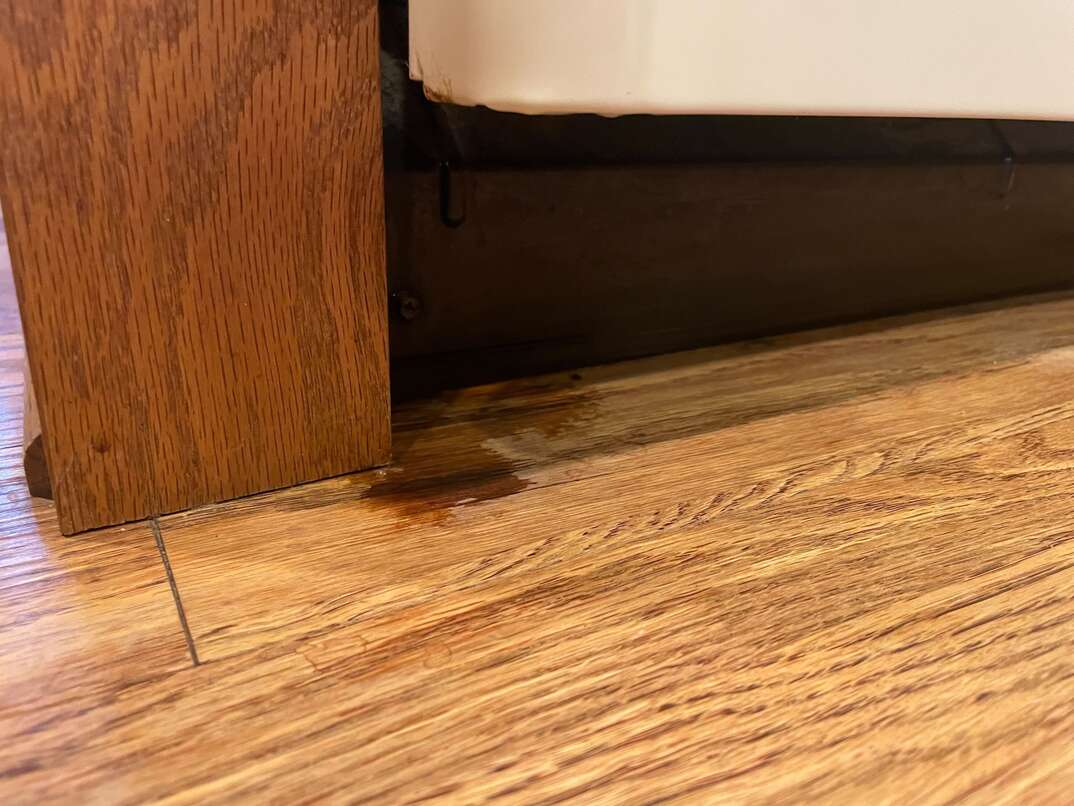 white dishwasher leaking a small amount of water onto a wood floor
