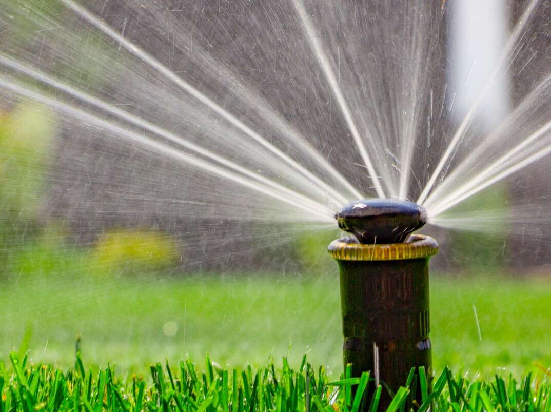 water from a sprinkler