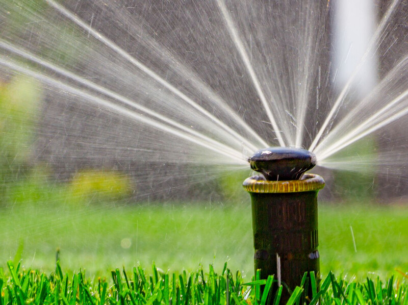 automatic sprinkler system watering the lawn on a background of green grass, close-up