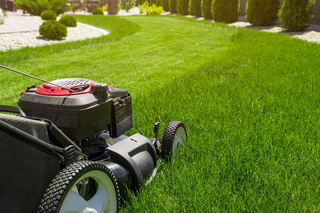 close up of lawnmower cutting grass