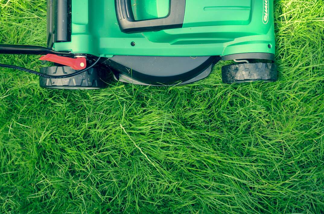 green lawn mower mowing grass
