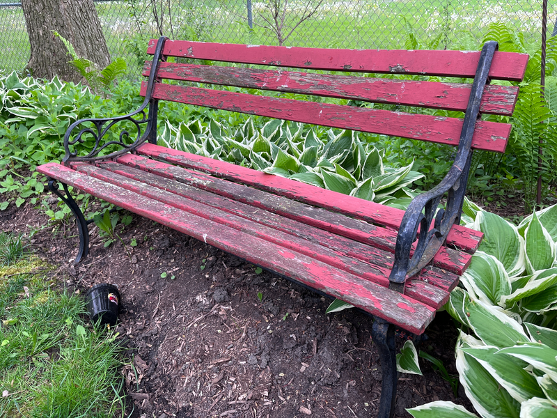 An old weather beaten garden bench sits in a residential yard on a mulched area surrounded by plants and grass and other greenery, bench, old bench, family bench, garden bench, paint, red paint, weather beaten, chipped paint, black metal, mulch, plants, yard, lawn, garden, shrubs, shrubbery, greenery, green