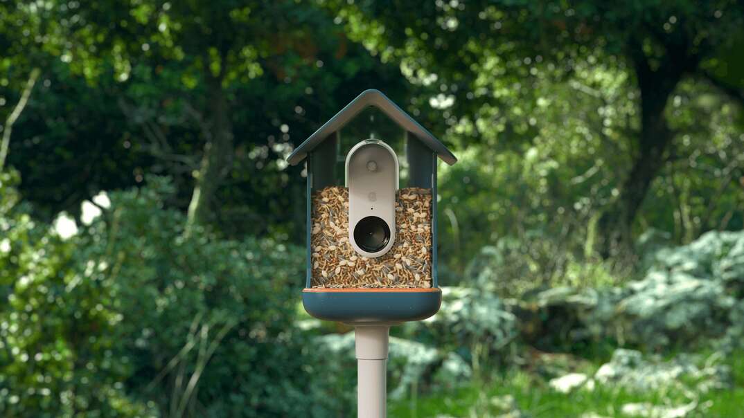 Bird Buddy smart bird feeder product image