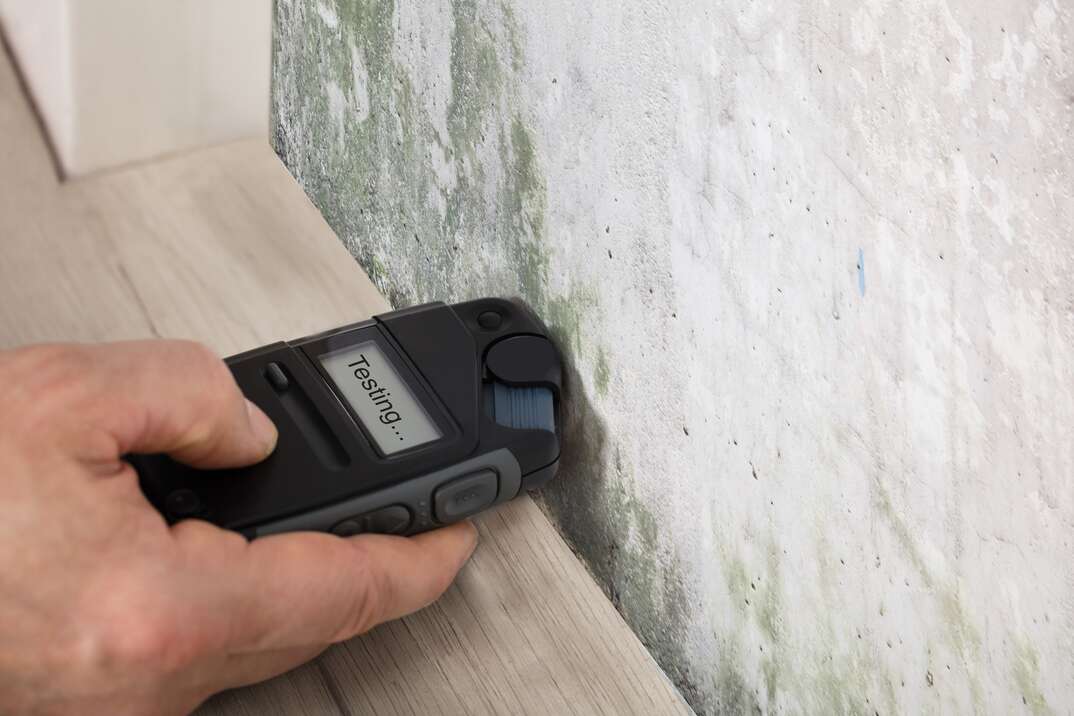 Mold inspection being performed using a moisture meter for mold detection