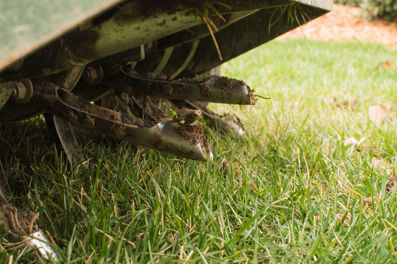 Tines from Ride On Aerator that Aerate the Grass for Lawn Care Services