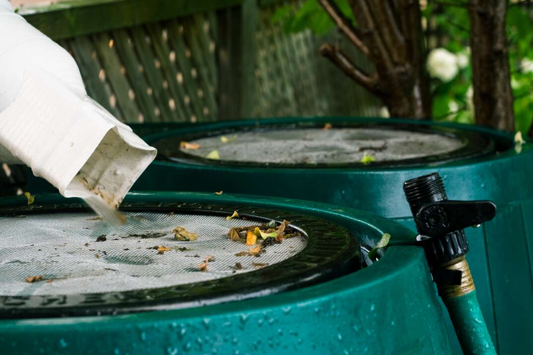 Green Rain Barrels In Use collecting water out of a gutter