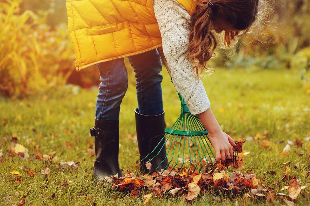 girl raking leaves with rake and hands