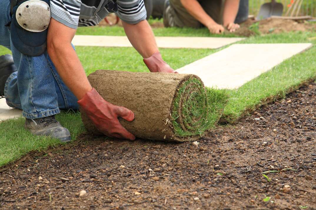 man laying sod for new garden