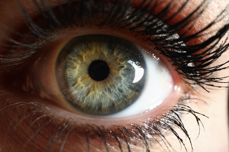 Human green eye supermacro closeup background. Check vision concept