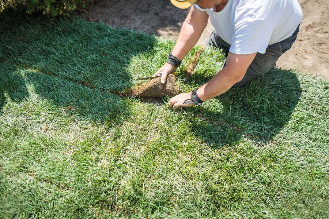 senior man laying sod for new lawn