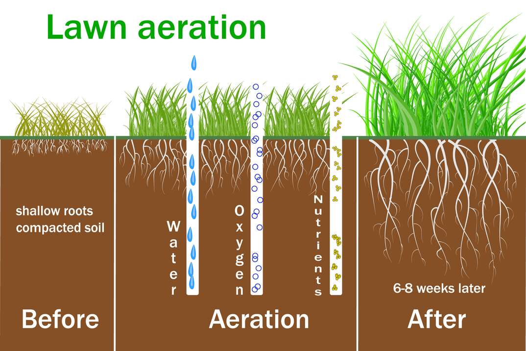 Lawn aeration for active plant growth  Free access of water and air to soil  Process steps before and after 