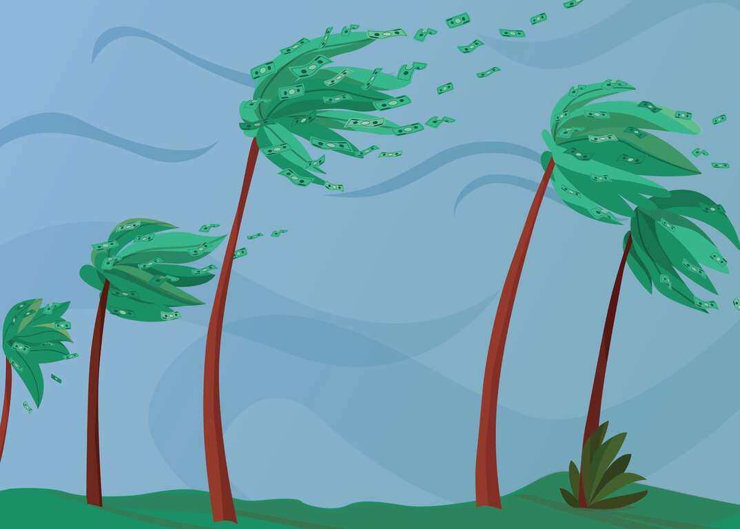 illustration of palm trees bending in the wind