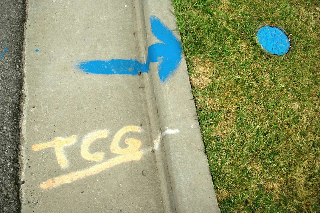 photo showing lawn markings from water line