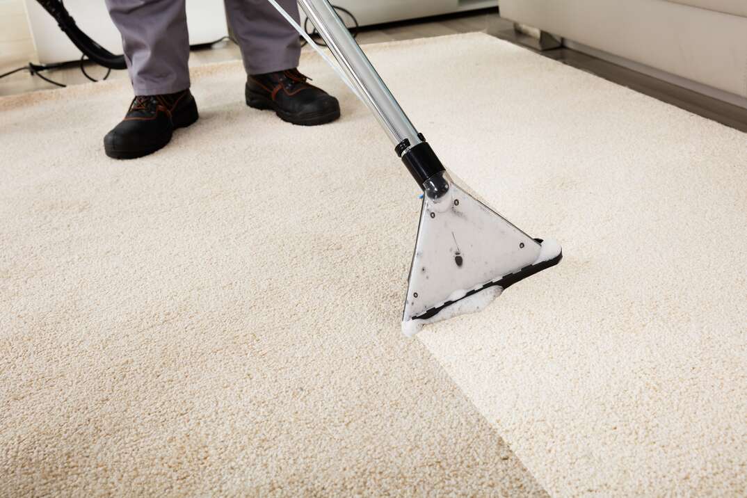 a dirty carpet gets steam cleaned using a professional vacuum and we can see the side-by-side results.