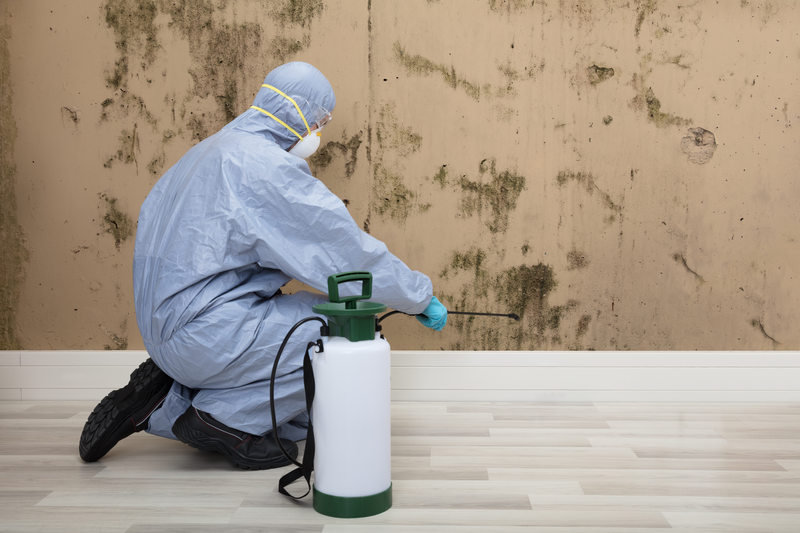 Rear View Of A Pest Control Worker In Uniform Spraying Pesticide On Wall With Sprayer