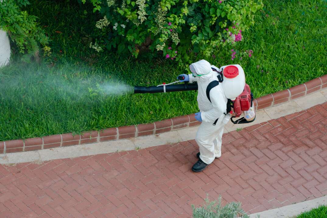 man spraying pesticide on trees in garden