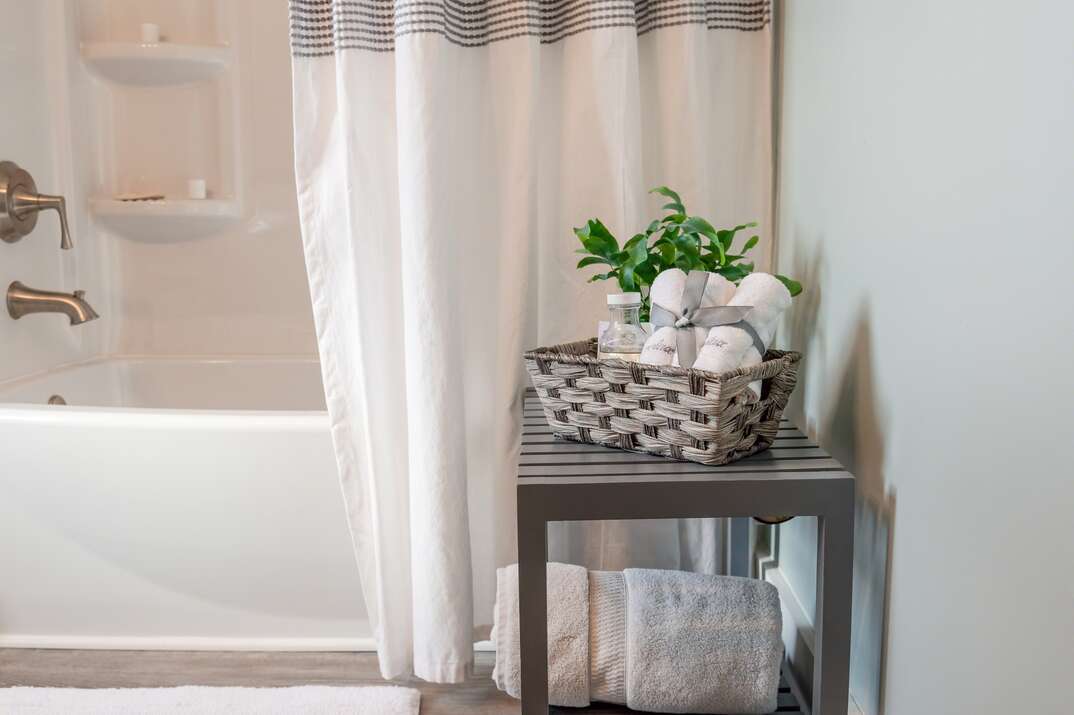 clean modern bathroom and shower curtain